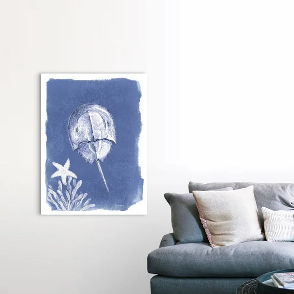 Coastal Sea Life VI, Canvas Wall Art, 36x48, Great Big Canvas