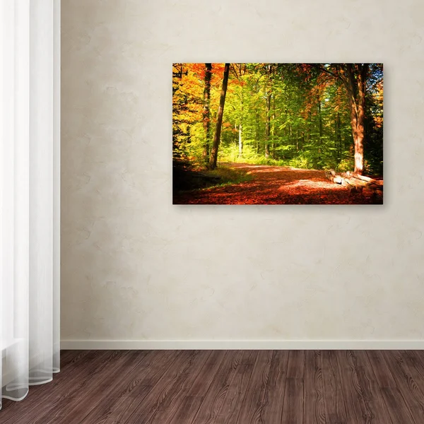 Trademark Art &Breaking The Fall Silence& by Philippe Sainte-Laudy Painting Print on Wrapped Canvas Size: 30x22 H x 47x22 W x 2x