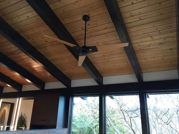 Modern Fan Company - TOR-GW-62-WW-272-003 Torsion 62x22 Ceiling