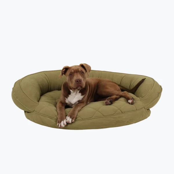 Carolina Pet Company Microfiber Quilted Bolster Bed with Moisture Barrier Protection Sage