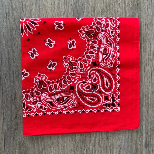 BathBeautyGiftShop Designed in The USA Paisley Bandanas - Red 100% Cotton, Square 22x22 x 22x22