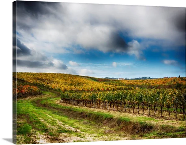 Europe - Italy' Montepulciano, Autumn Vinyards in Full Color Near Montepulciano, Canvas Wall Art, 24x18, Great Big Canvas