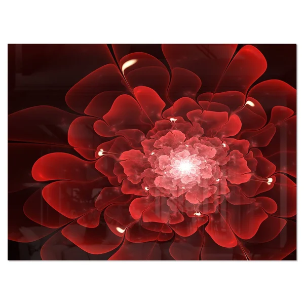Fractal Flower Clear Red Digital Art - Large Floral Glossy Metal Wall Art - 20 in. Wide x 12 in. High