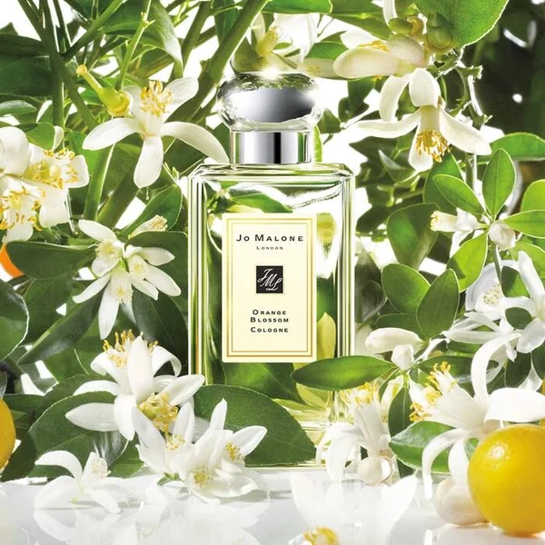 Jo Malone London Orange Blossom Cologne 3.4 oz/ 100 ml Spray