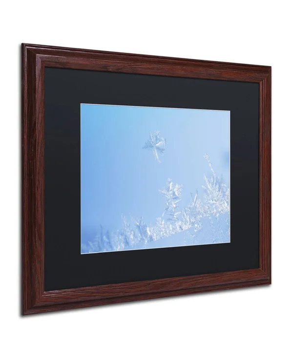 Trademark Fine Art Window Frost by Kurt Shaffer Framed Photographic Print - Size: 16x22 H x 20x22 W x 0.5x22 D