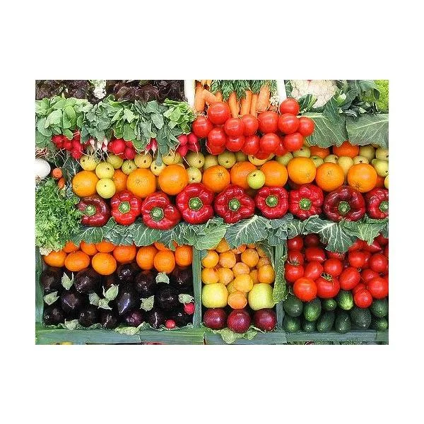 15 - 000 Non GMO Heirloom Vegetable Seeds Survival Garden 32 Variety Pack by Open Seed