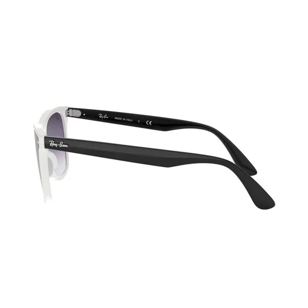 Ray-Ban RB4440N Blaze Wayfarer Sunglasses