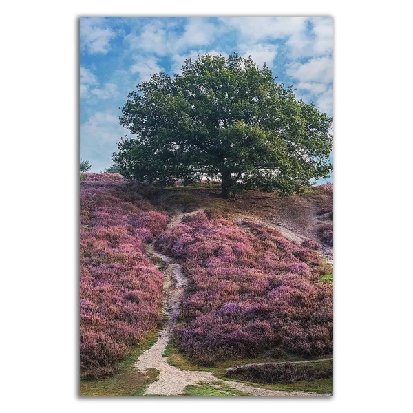 36x22 x 24x22 Purple Heath by Lars Van De Goor Print on Canvas