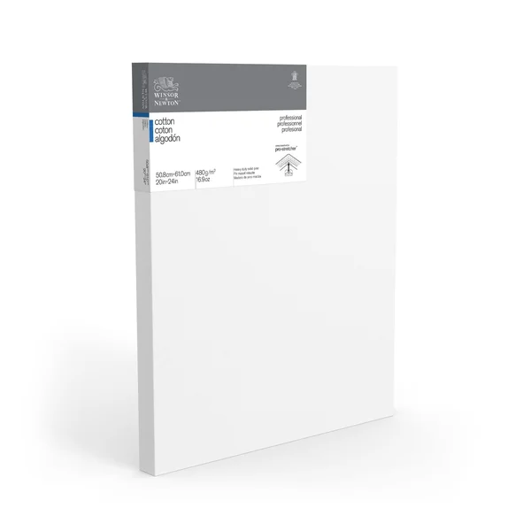 Winsor & Newton Professional Cotton Canvas - 20x22 x 24x22 Deep Edge