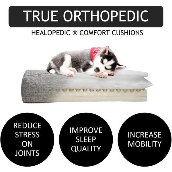 Club Nine Pets Belmont Orthopedic Dog Bed, Medium, Linen.