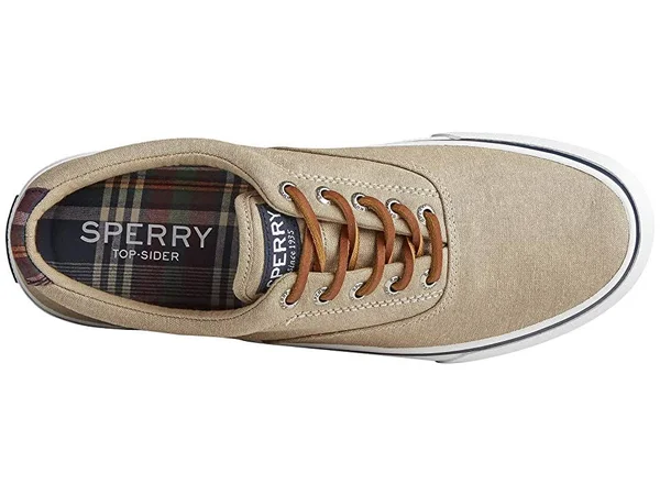 Sperry Men's Striper II CVO Sneaker