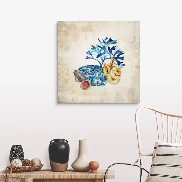 Sea Life II, Canvas Wall Art, 30x30, Great Big Canvas