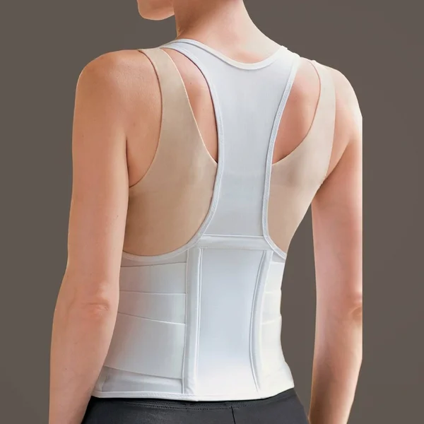 Fla Original Cincher Back Support (Small - Black)