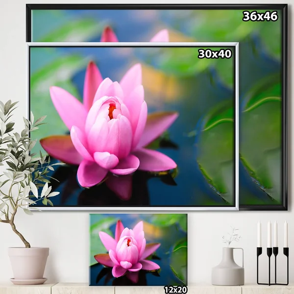 Designart 'Large Lotus Flower in The Pond' Floral Framed Canvas Art Print - 32 in. Wide x 16 in. High - White