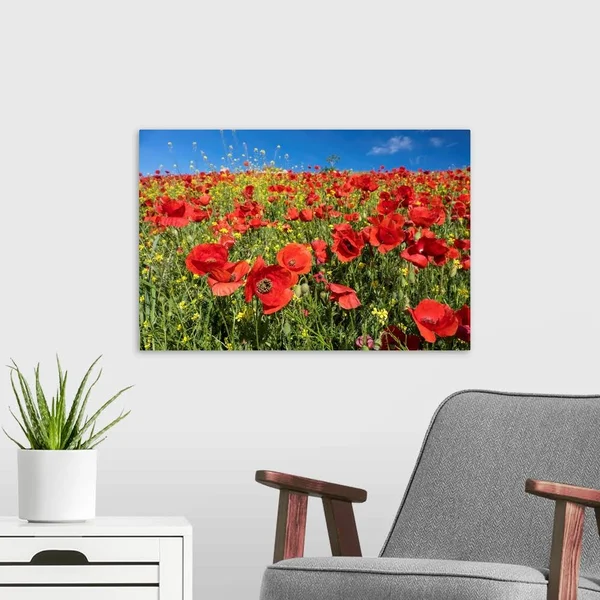 Spain - Andalusia, A Field of Bright and Cheerful Red Poppy Wildflowers, Canvas Wall Art, 24x16, Great Big Canvas