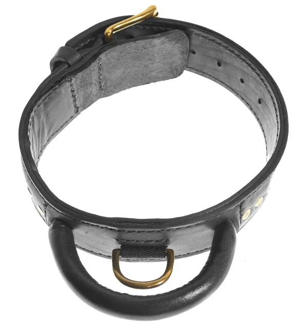 Viper Two-Ply Leather Collar with Handle