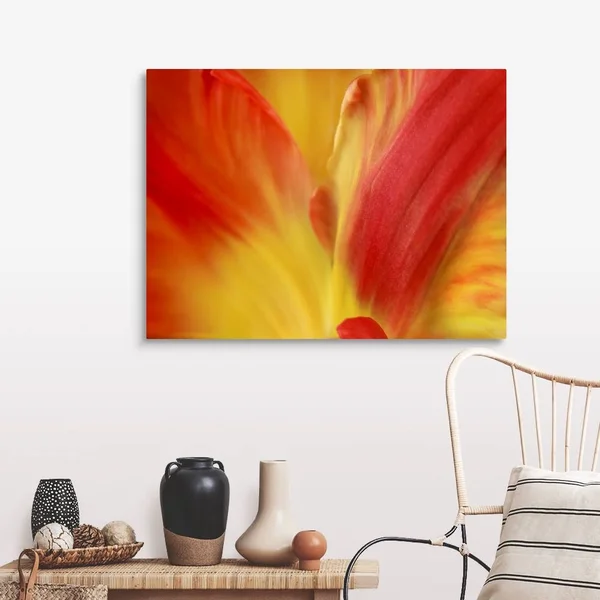 Tulipa - Canvas Wall Art, 40x30, Great Big Canvas