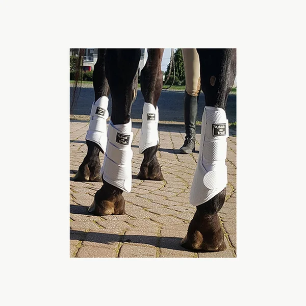 Back on Track Splint Boots