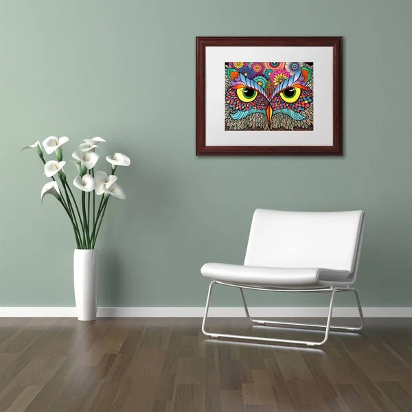Trademark Fine Art Owl Face by Hello Angel, White Matte, Wood Frame 16x20-Inch, Assorted