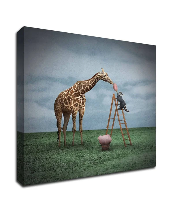 Tangletown Fine Art 24x22 x 24x22 Cotton Candy by Greg Noblin Print on Canvas