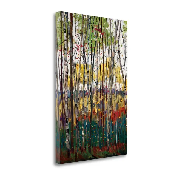 Tangletown Fine Art Voile De Montogne by Graham Forsythe