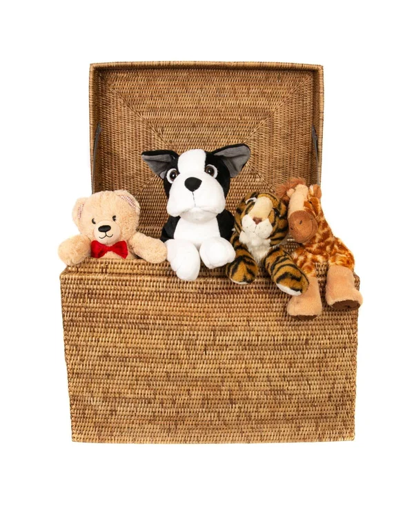 Artifacts Trading Rattan Medium Rectangular Hinged Trunk - Brown