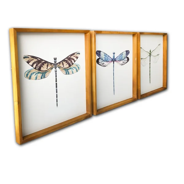 (Set of 3) 20x22 x 20x22 Dragonflies Wood Framed Wall Canvas - Gallery 57 - 20 x 20 inches