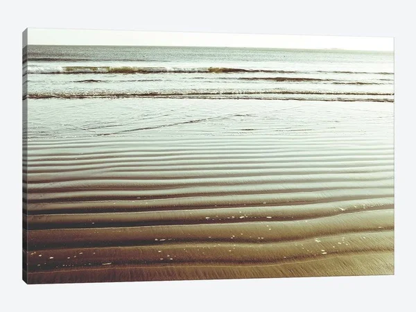 Lupen Grainne Canvas Prints - Bronze Beach ( scenic & landscapes > Ocean > seascapes art)