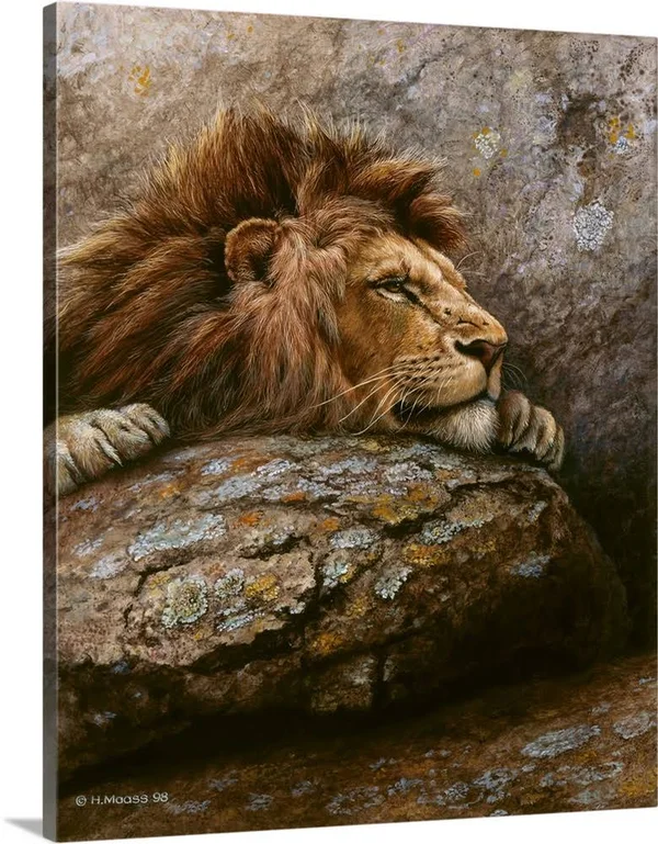 Lion Male 2 - Canvas Wall Art, 24x30, Great Big Canvas