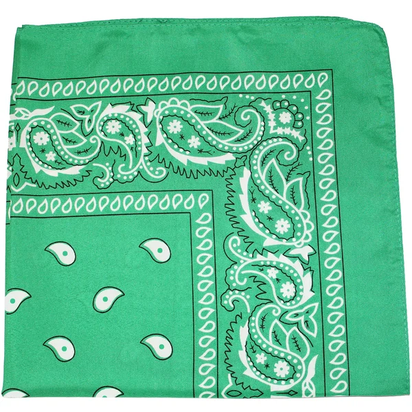 Set of 240 Mechaly Unisex Paisley 100% Polyester Double Sided Bandanas - Bulk Wholesale - Green