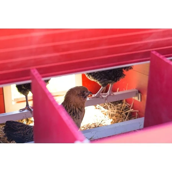 New Age Pet Ecoflex Fontana Chicken Barn - Jumbo, Red