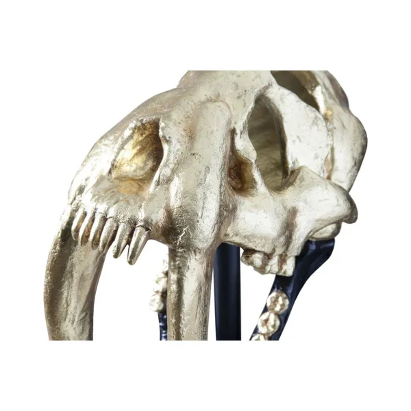 Phillips Collection Saber Tooth Tiger Skull, Black, Gold Leaf