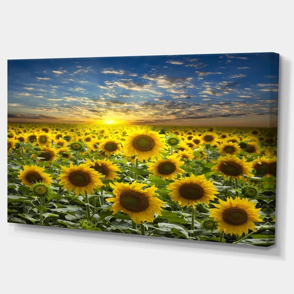 Design Art Field of Blooming Sunflowers Photographic Print on Wrapped Canvas - Green