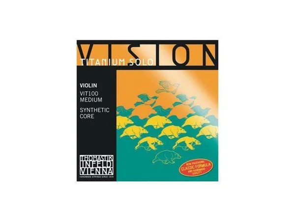 Vision Titanium Solo 4/4 Violin Set