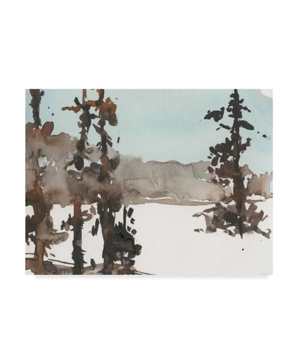 Trademark Fine Art 'Woodland Sketch III' Canvas Art by Samuel Dixon, Size: 35 x 47