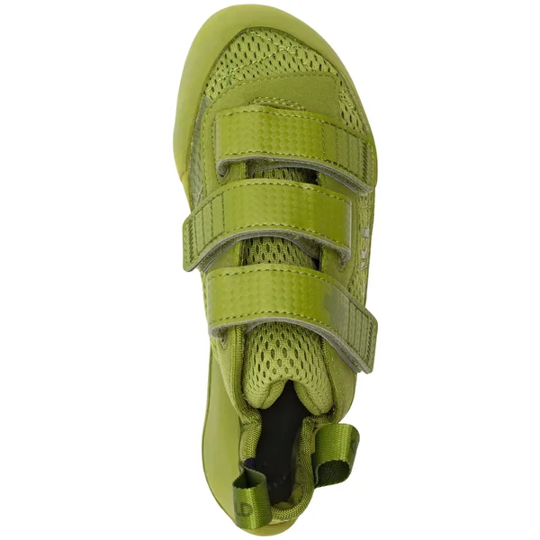Runner (LV) 5.5