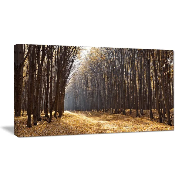 Design Art 'Light in The Forest Path Panorama' 5 Piece Photographic Print on Wrapped Canvas Set - Brown