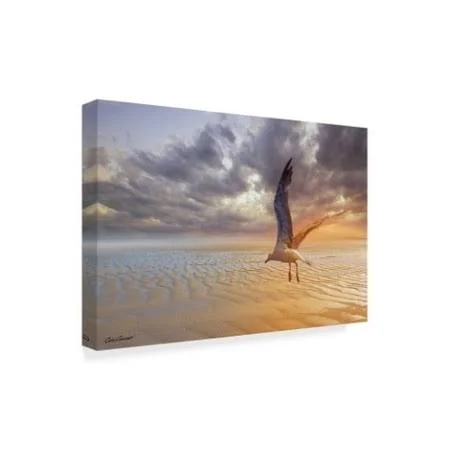 Trademark Fine Art 'Soft Sunrise on The Beach 4' Canvas Art by Carlos Casamayor - Size: 30 x 47