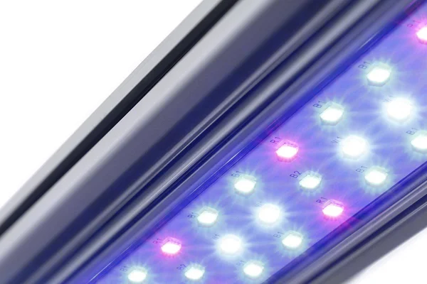 Kind LED X80 Flower Bar Light - 4&