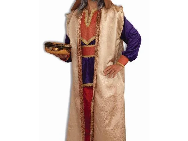 Forum Novelties Men's Deluxe Garnet Wise Man Costume - One Size