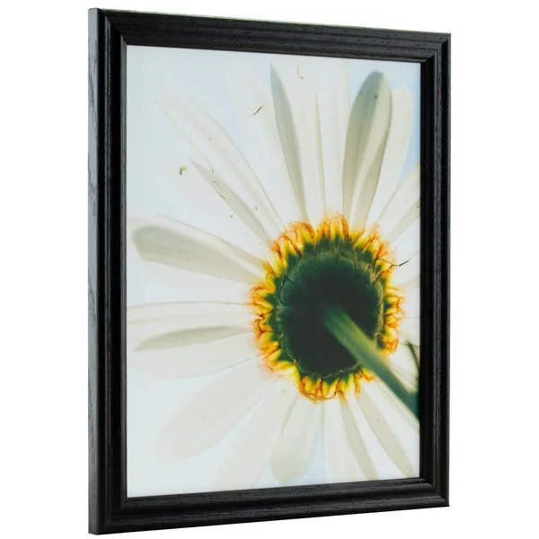 Craig Frames Wiltshire 200, Traditional Black Hardwood Picture Frame, 20 x 22 inch