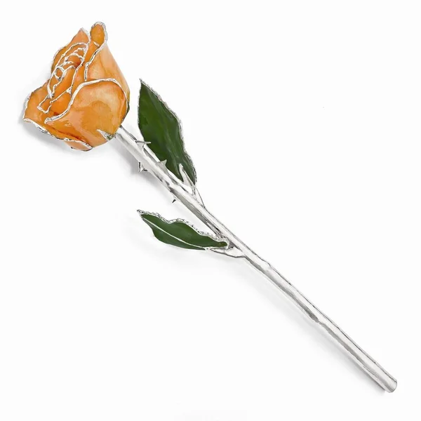 Lacquer Dipped Silver Trim Orange Rose