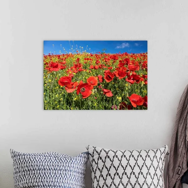 Spain - Andalusia, A Field of Bright and Cheerful Red Poppy Wildflowers, Canvas Wall Art, 24x16, Great Big Canvas
