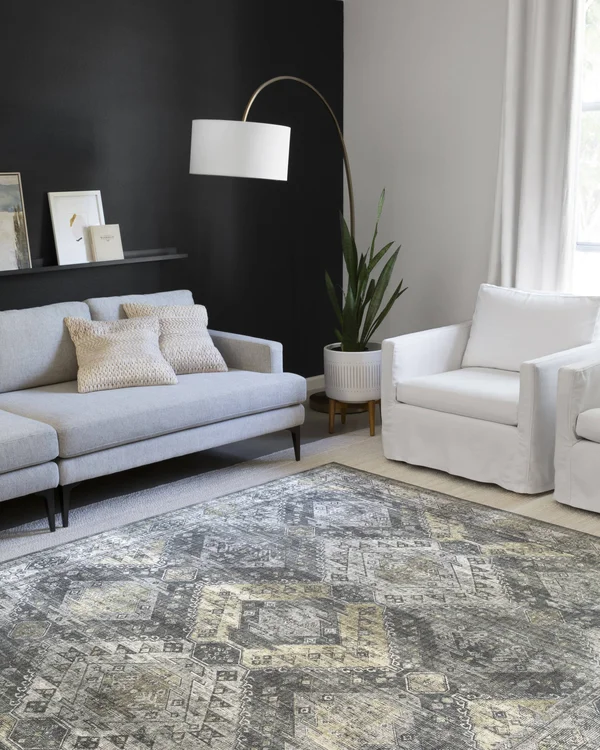 Loloi Skye SKY-09 2&6x22 x 7&6x22 Graphite, Silver Rug