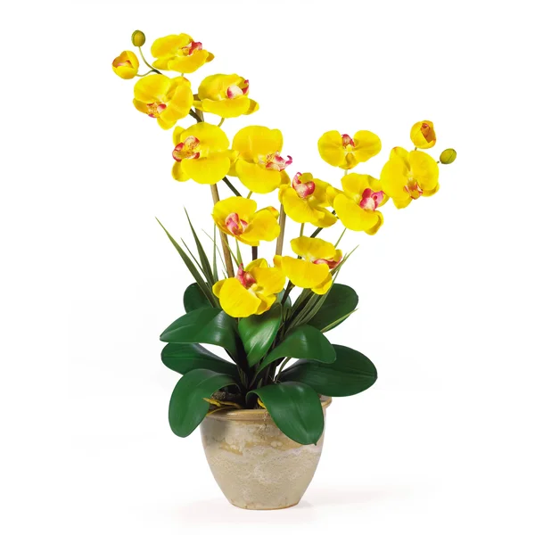 Nearly Natural Double Stem Phalaenopsis Silk Orchid Arrangement Mauve