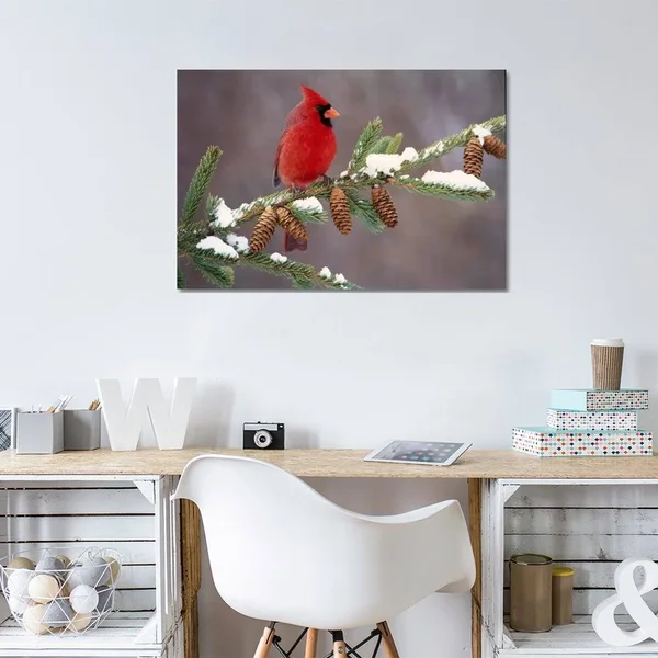 Steve Gettle Canvas Prints - Northern Cardinal Male - South Lyon, Michigan ( Animal Art > Birds > Cardinals art)