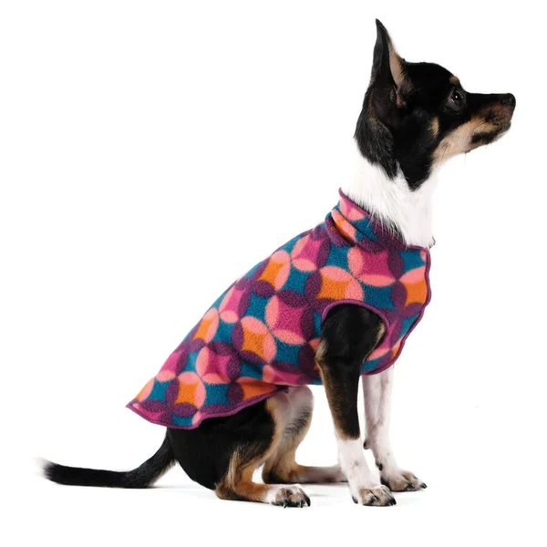 Gold Paw Fleece Dog Jacket - Summer Mod - Size 8 FS8SMD