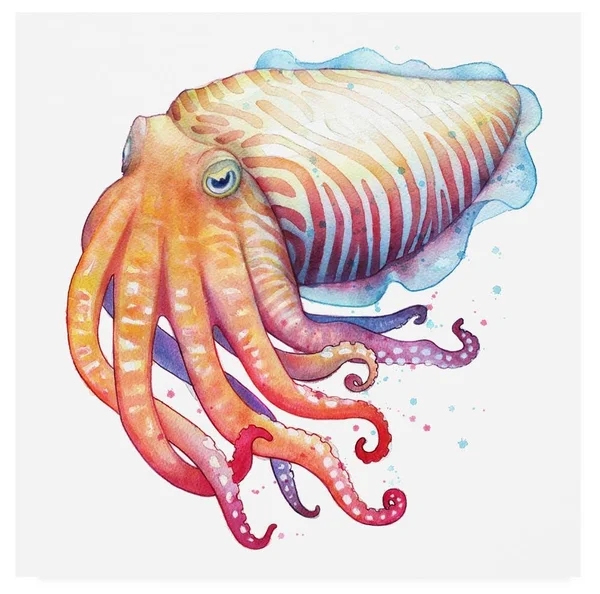 Trademark Art Sam Nage 'Cuttlefish' Canvas Art