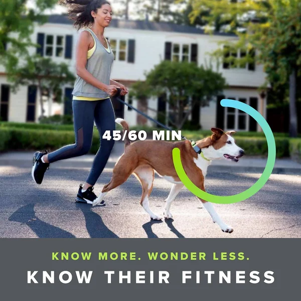 Whistle Go Explore - The Ultimate Health & Location Tracker for Pets - Green