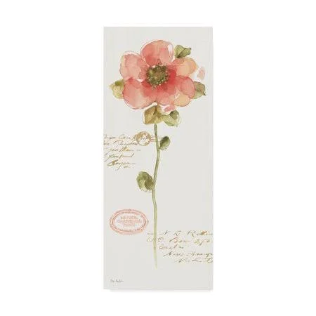 Trademark Fine Art 'Rainbow Seeds Loose Floral IV' Canvas Art by Lisa Audit, Size: 20 x 47